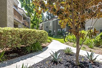 Beautiful courtyard with walking paths